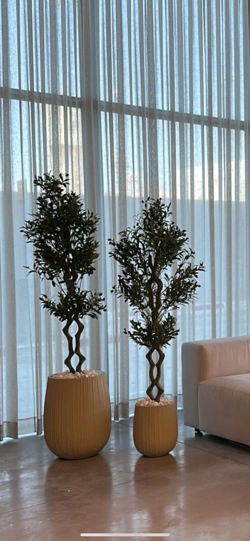 תמונה של Whatsapp‏ 2023 06 06 בשעה 18.05.51